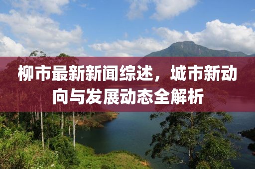 柳市最新新闻综述，城市新动向与发展动态全解析