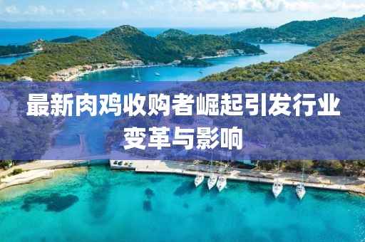 最新肉鸡收购者崛起引发行业变革与影响
