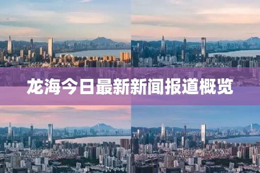龙海今日最新新闻报道概览