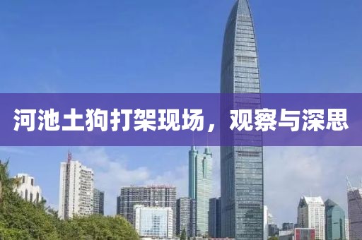 河池土狗打架现场，观察与深思
