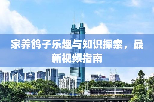 家养鸽子乐趣与知识探索，最新视频指南