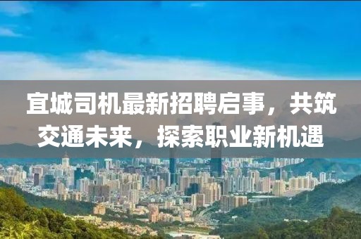 宜城司机最新招聘启事，共筑交通未来，探索职业新机遇