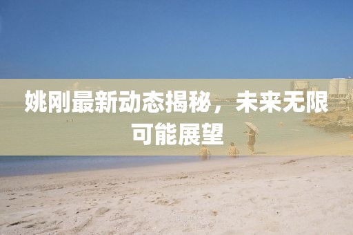 姚刚最新动态揭秘，未来无限可能展望