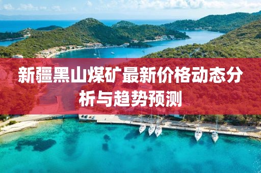 新疆黑山煤矿最新价格动态分析与趋势预测