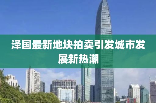 泽国最新地块拍卖引发城市发展新热潮