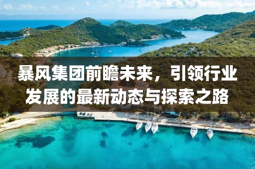 暴风集团前瞻未来，引领行业发展的最新动态与探索之路