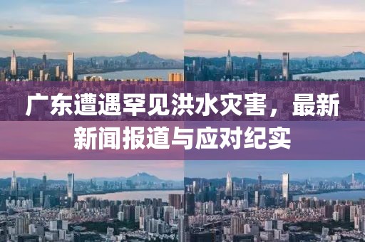 广东遭遇罕见洪水灾害，最新新闻报道与应对纪实