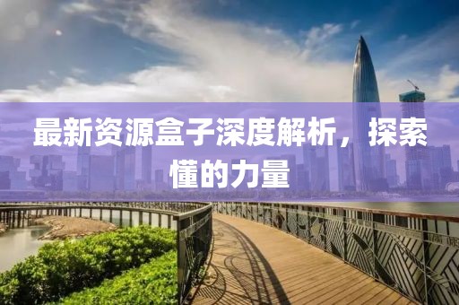 最新资源盒子深度解析，探索懂的力量
