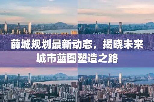 薛城规划最新动态，揭晓未来城市蓝图塑造之路