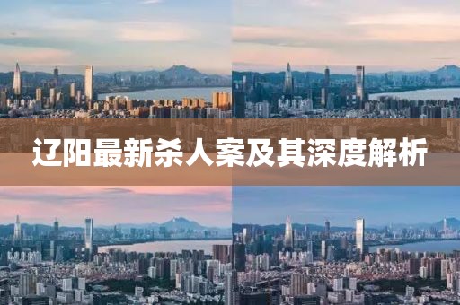 辽阳最新杀人案及其深度解析