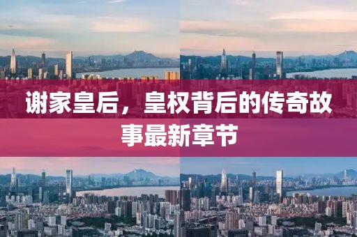 谢家皇后，皇权背后的传奇故事最新章节