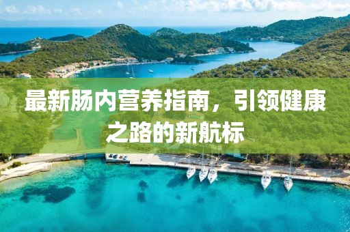 最新肠内营养指南，引领健康之路的新航标