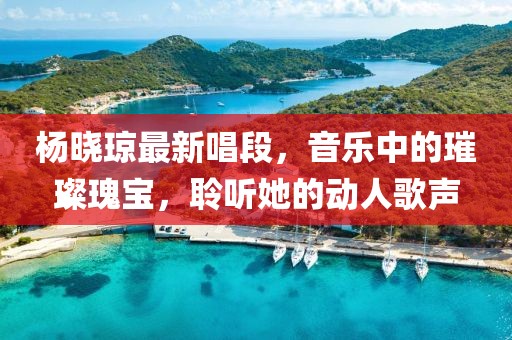 杨晓琼最新唱段，音乐中的璀璨瑰宝，聆听她的动人歌声