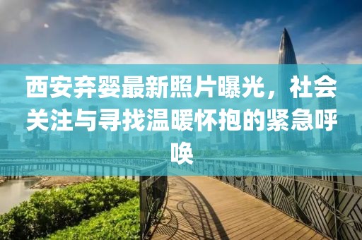 西安弃婴最新照片曝光，社会关注与寻找温暖怀抱的紧急呼唤