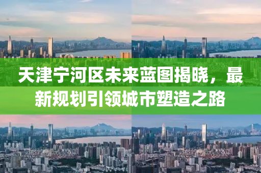 天津宁河区未来蓝图揭晓，最新规划引领城市塑造之路