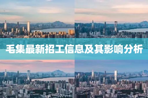 毛集最新招工信息及其影响分析