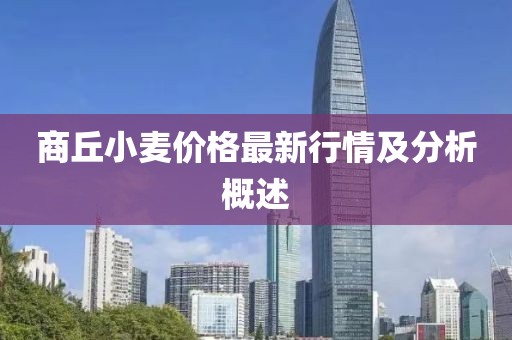 商丘小麦价格最新行情及分析概述