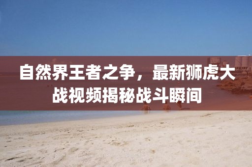 自然界王者之争，最新狮虎大战视频揭秘战斗瞬间