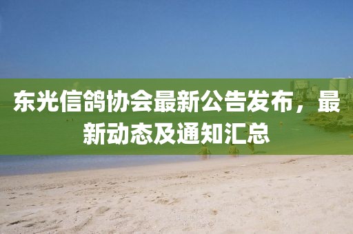 东光信鸽协会最新公告发布，最新动态及通知汇总