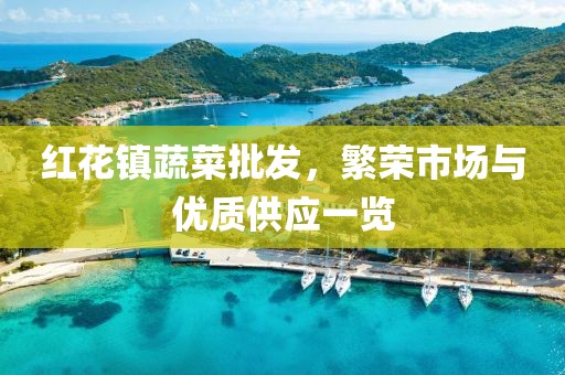 红花镇蔬菜批发，繁荣市场与优质供应一览