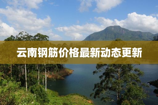 云南钢筋价格最新动态更新