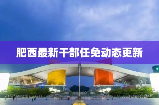 肥西最新干部任免动态更新