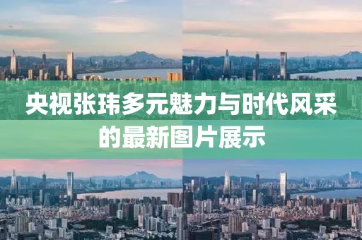央视张玮多元魅力与时代风采的最新图片展示