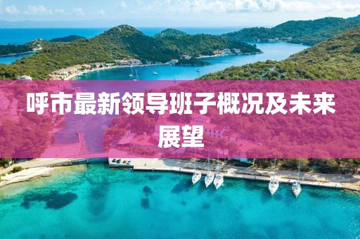 呼市最新领导班子概况及未来展望