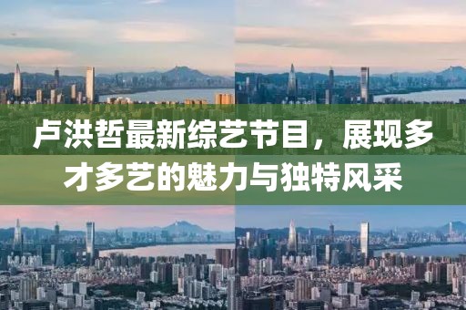 卢洪哲最新综艺节目，展现多才多艺的魅力与独特风采