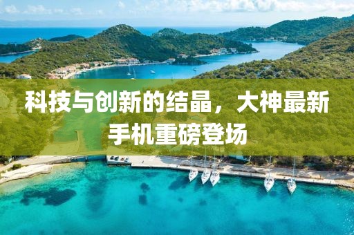 科技与创新的结晶，大神最新手机重磅登场