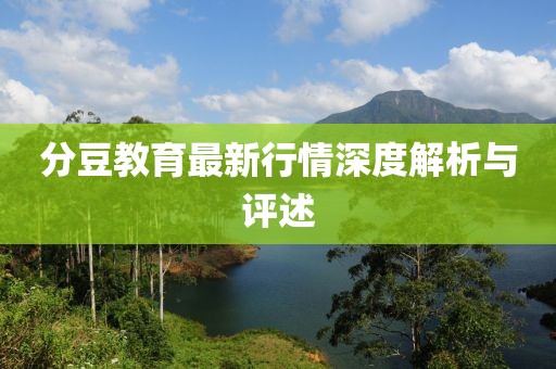 分豆教育最新行情深度解析与评述