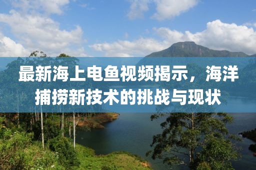 最新海上电鱼视频揭示，海洋捕捞新技术的挑战与现状