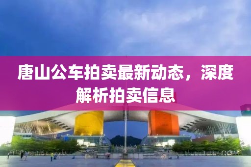 唐山公车拍卖最新动态，深度解析拍卖信息