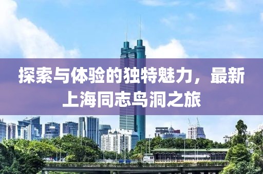 探索与体验的独特魅力，最新上海同志鸟洞之旅