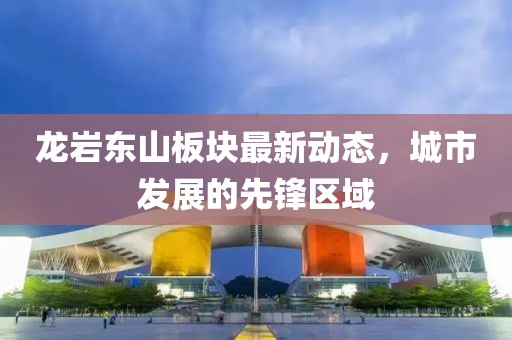 龙岩东山板块最新动态，城市发展的先锋区域