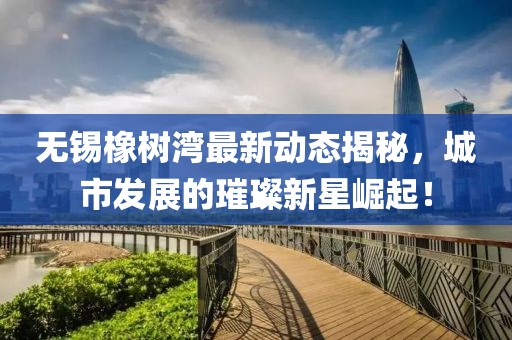 无锡橡树湾最新动态揭秘，城市发展的璀璨新星崛起！