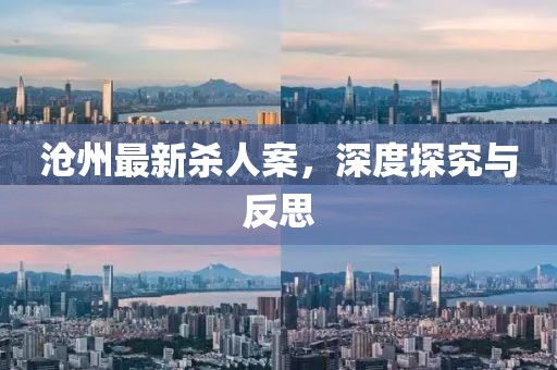 沧州最新杀人案，深度探究与反思
