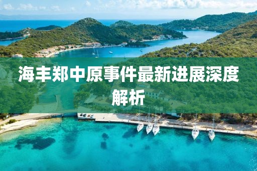 海丰郑中原事件最新进展深度解析
