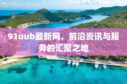 91uub最新网，前沿资讯与服务的汇聚之地