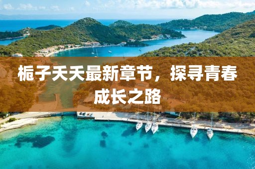 栀子夭夭最新章节，探寻青春成长之路