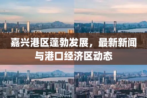 嘉兴港区蓬勃发展，最新新闻与港口经济区动态