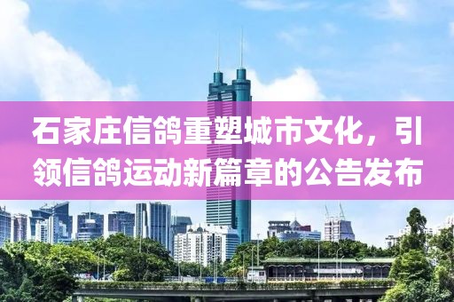 石家庄信鸽重塑城市文化，引领信鸽运动新篇章的公告发布