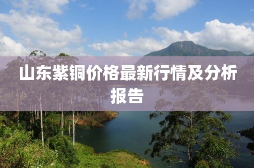 山东紫铜价格最新行情及分析报告