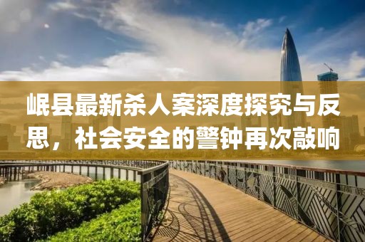 岷县最新杀人案深度探究与反思，社会安全的警钟再次敲响