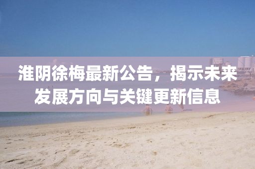 淮阴徐梅最新公告，揭示未来发展方向与关键更新信息