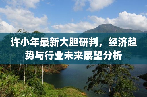 许小年最新大胆研判，经济趋势与行业未来展望分析