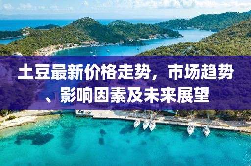 土豆最新价格走势，市场趋势、影响因素及未来展望