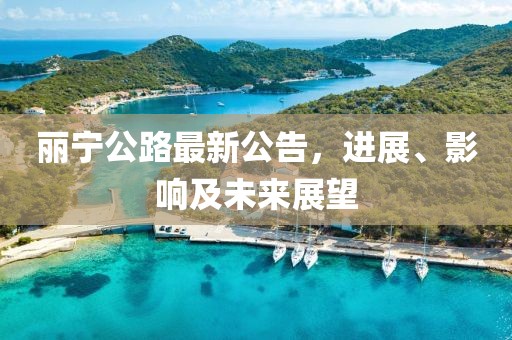 丽宁公路最新公告，进展、影响及未来展望
