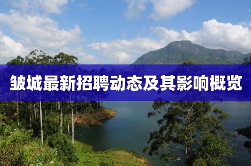 皱城最新招聘动态及其影响概览