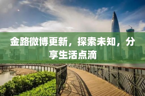 金路微博更新，探索未知，分享生活点滴